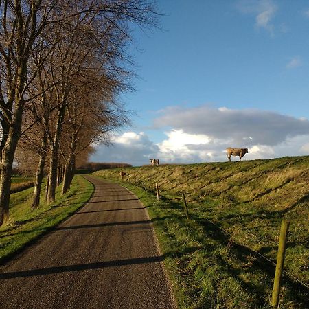 Studio Sturjalland Sirjansland Luaran gambar