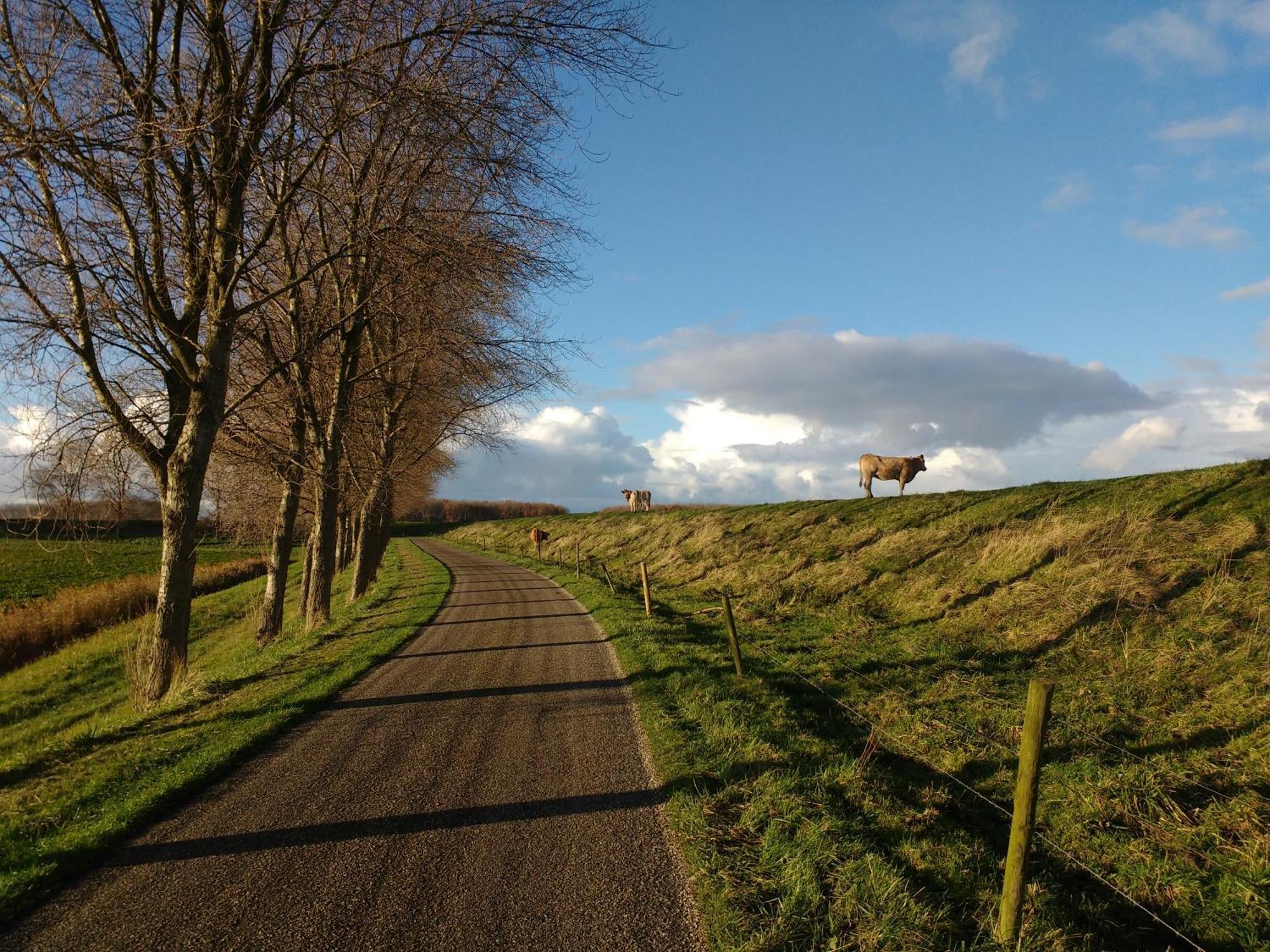 Studio Sturjalland Sirjansland Luaran gambar